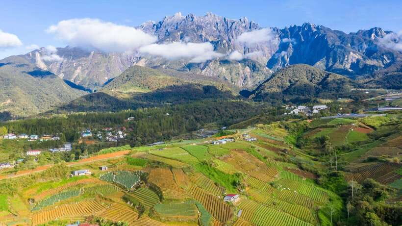 Kundasang: Day Tour with Desa Dairy Farm and Alpaca Club - How the Kundasang day fits together (and why it feels smooth)