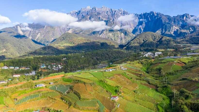 Kundasang: Day Tour with Desa Dairy Farm and Alpaca Club - Pekan Kundasang break: lunch on your time (and how to use it well)