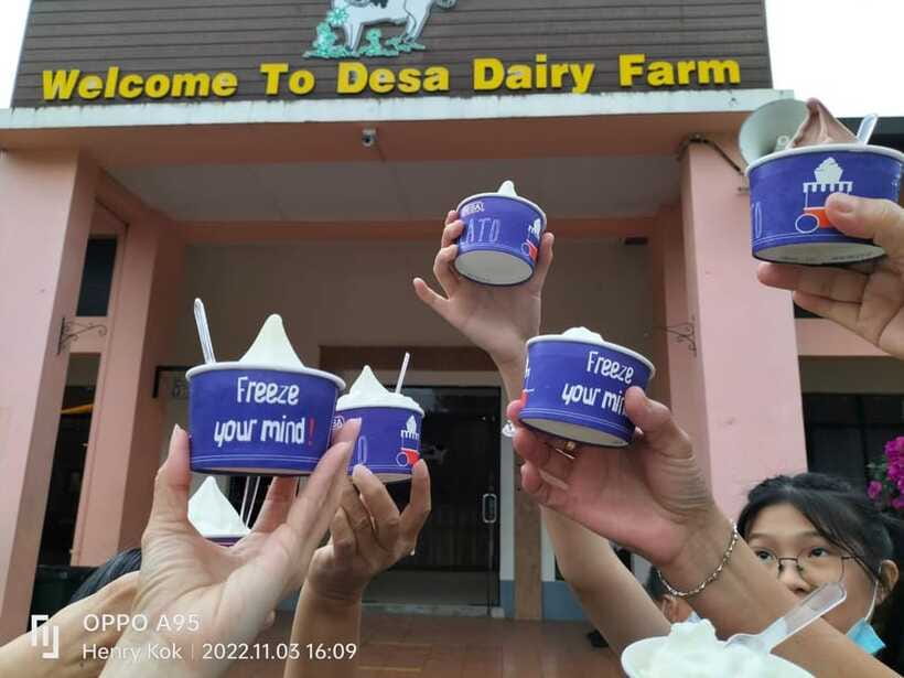 Kundasang : Poring Hot Spring + Desa & Meal Shared Tour - Poring Hot Springs: why warm water is the best kind of reset
