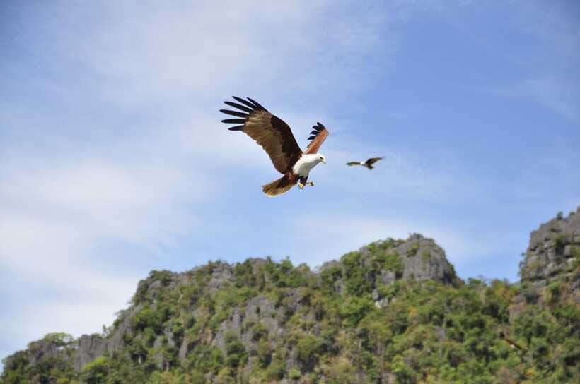Langkawi: 6-Hour Private Island Highlights Tour - The guides make a difference, and you can feel it in the details