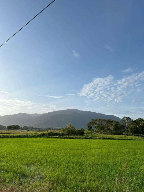 Langkawi: Countryside Bike Tour, Waterfall Swim & Dessert - Countryside Cycling for Beginners: What You Should Expect