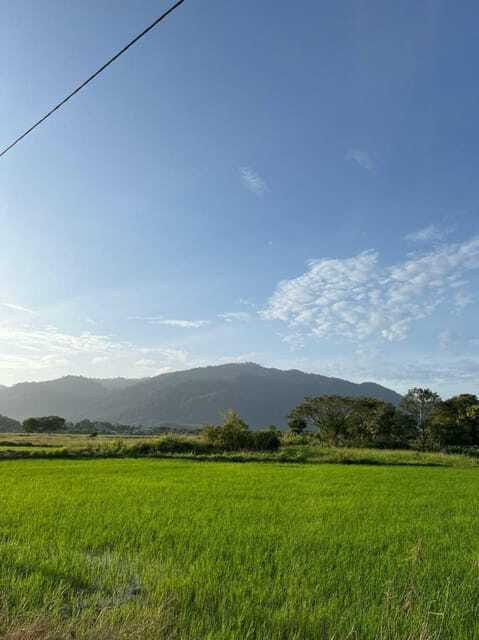 Langkawi: Countryside Bike Tour, Waterfall Swim & Dessert - Dessert by the River: Coffee, Tea, and a Simple Local Finish