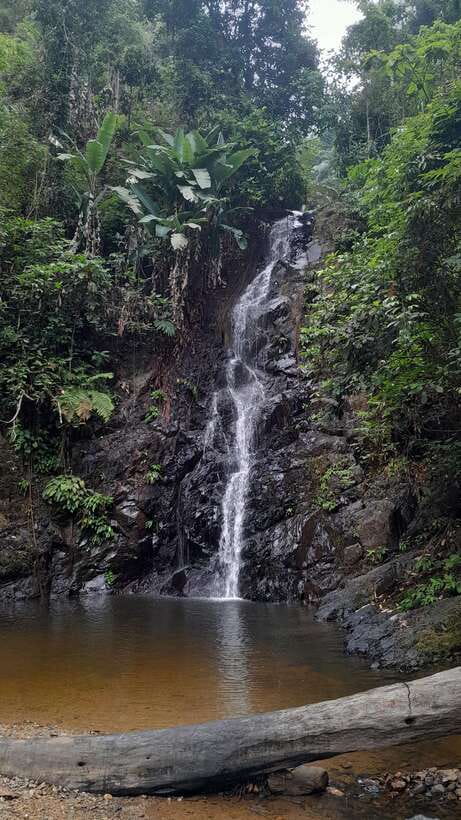 Langkawi: Countryside Bike Tour, Waterfall Swim & Dessert - The Bike + Guide Plan: Calm Pace, Real Watching