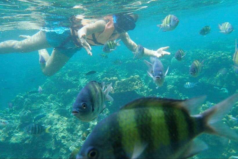 Langkawi: Dangli Island Snorkel and Swim Speedboat Tour - Lunch at the Floating Restaurant: Optional, but Easy to Add
