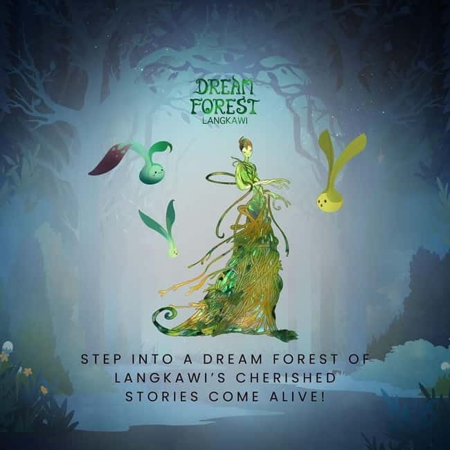 Langkawi: Dream Forest Langkawi Standard Admission Ticket - The Route: Projection Mapping, Dynamic Lighting, and Story Moments