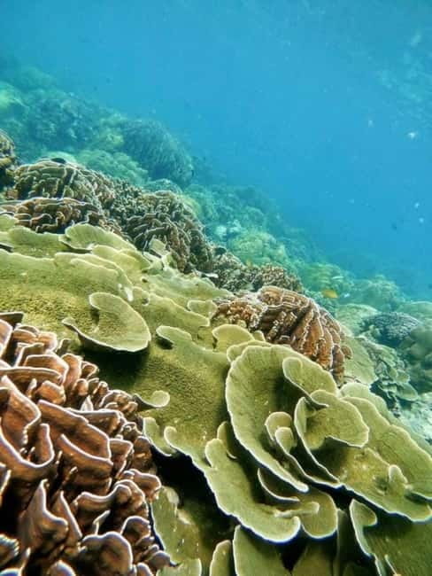 Langkawi: Floating Restaurant & Snorkeling Trip - Kilim River Floating Restaurant: Why this meal feels like part of the trip