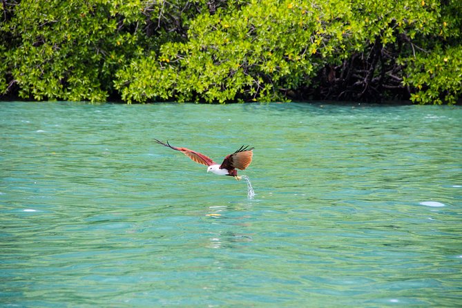 Langkawi Half Day Island Hoping Tour- Sharing basis - Stop 1: Pulau Dayang Bunting and the Pregnant Maiden View