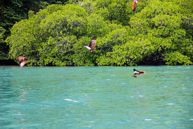 Langkawi Half Day Island Hoping Tour- Sharing basis - Who This Tour Is Best For