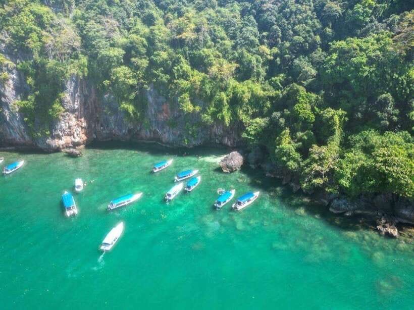 Langkawi: Half-Day Private Kilim River Mangrove Boat Tour - Key highlights you should care about