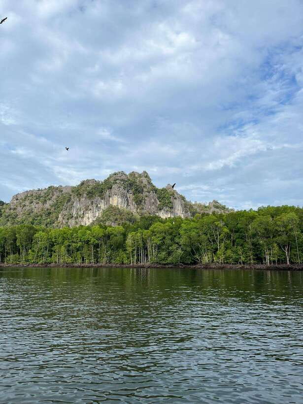 Langkawi: Half-Day Private Kilim River Mangrove Boat Tour - Cave and karst photo stops: Bat Cave, Crocodile Cave, and Gorilla Peak