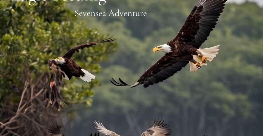 Langkawi: Half-Day Private Kilim River Mangrove Boat Tour - Andaman Sea air plus the coastal rhythm