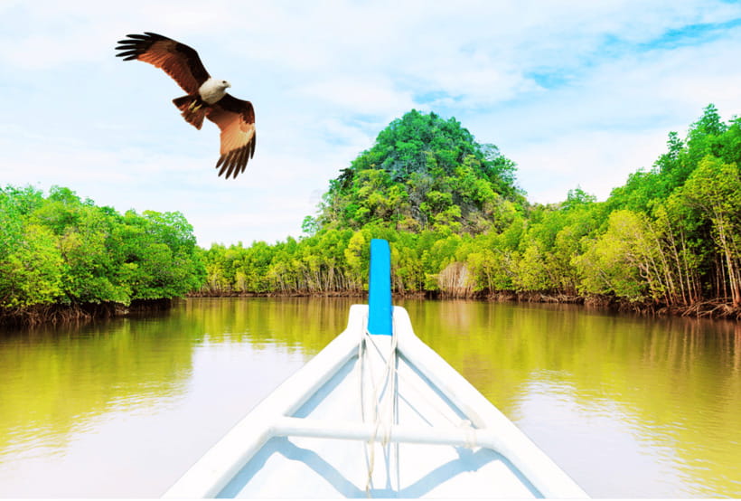 Langkawi: Half- or Full-Day Private Car Tour of Highlights - What the best drivers do differently (Azri, Syed, and the real-world flexibility)