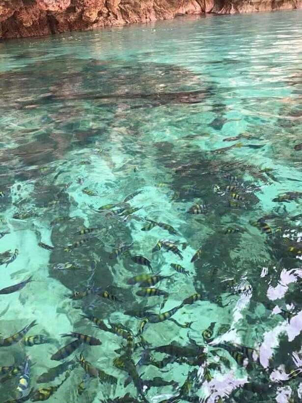 Langkawi Island: Hopping 5 in 1 Grand Tour - Key things to know before you go
