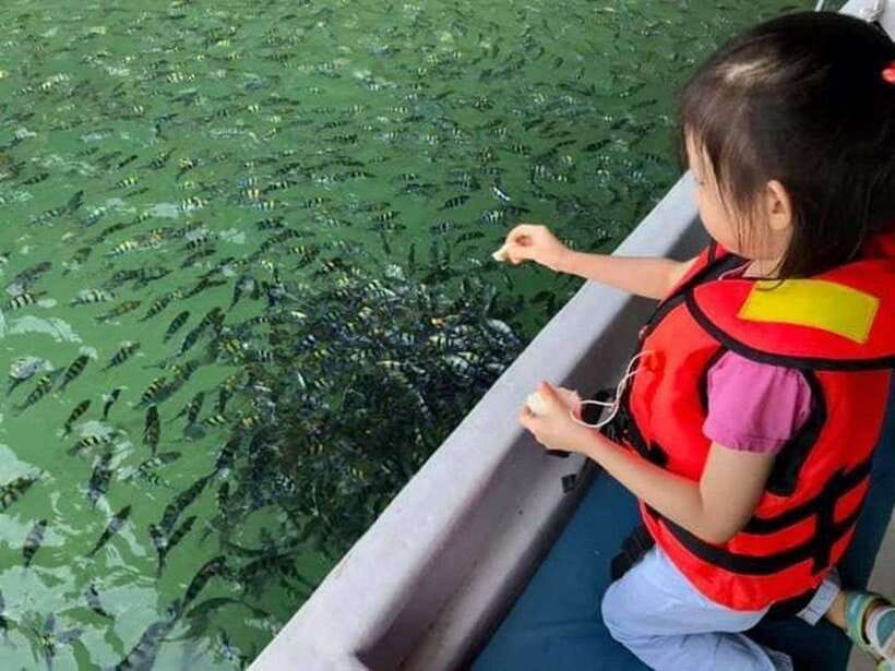 Langkawi Island: Hopping 5 in 1 Grand Tour - Pulau Beras Basah Beach Time, Plus Snorkeling Options