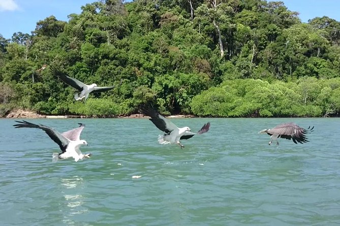 Langkawi Island Hopping Boat Tour with Return Transfer - Dayang Bunting Island: The Freshwater Lake, Pregnant-Lady View, and Step-Heavy Walk