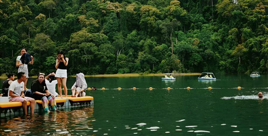 Langkawi: Island Hopping Shared or Private Boat Options - Eagle feeding: the wildlife moment, the time pressure, and how to get good results