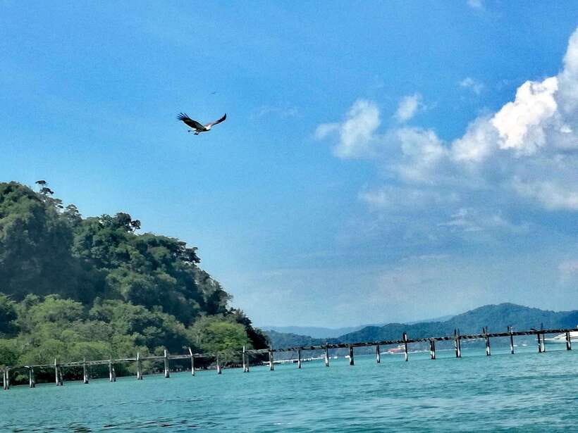 Langkawi: Island Hopping Tour - Pulau Singa Besar Wildlife Sanctuary: Quick Nature Encounters