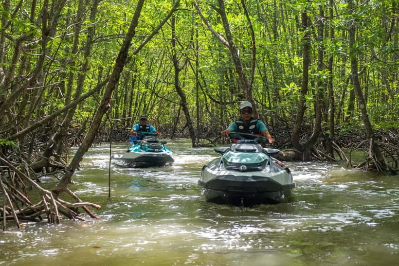 Langkawi: Jet Ski Tour UNESCO Kilim Geopark Free Video - Monkey and eagle watching: better viewing than you’d get on your own