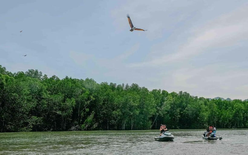 Langkawi: Jet Ski Tour UNESCO Kilim Geopark Free Video - Mangrove River Cruise: calm water, real wildlife chances