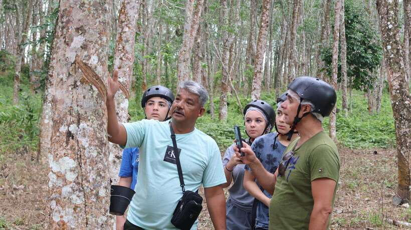 Langkawi Jungle and Waterfall Adventure - Why This ATV Tour Works: Jungle Trails Plus Real Rural Langkawi