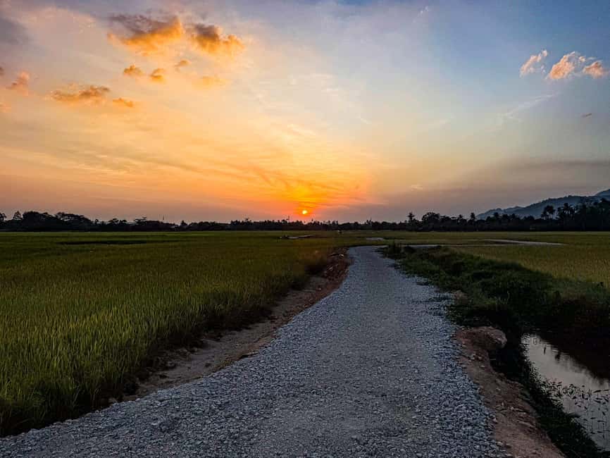 Langkawi Jungle and Waterfall Adventure (Golden Hour) - The Village-to-Rubber-Plantation Part That Feels Like Real Langkawi