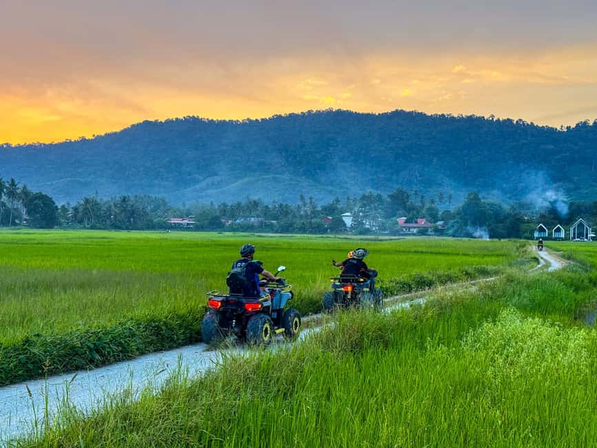 Langkawi Jungle and Waterfall Adventure (Golden Hour) - Jungle Trails, Hidden Waterfalls, and Wildlife You Might Actually See