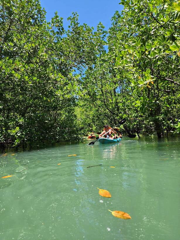 Langkawi : Kilim Geoforest Mangrove Kayak Tour with Lunch - Price and value: is $59 worth 4 hours in Kilim?