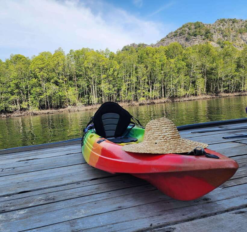 Langkawi : Kilim Geoforest Mangrove Kayak Tour with Lunch - Who should book this tour, and who might want a different plan