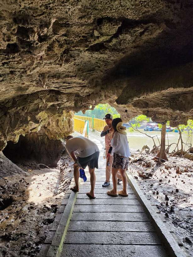 Langkawi : Kilim Mangrove Boat & Fun Kayak Tour with Lunch - Bat Cave and the cave stops: the part that turns photos into context
