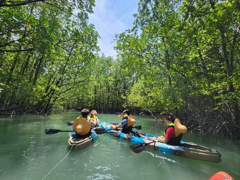 Langkawi : Kilim Mangrove Boat & Fun Kayak Tour with Lunch - What to bring so you stay comfortable (and not cranky)