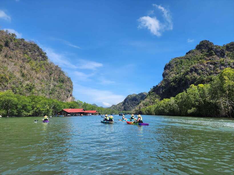 Langkawi : Kilim Mangrove Boat & Fun Kayak Tour with Lunch - The mangrove boat cruise: wildlife spotting with less effort