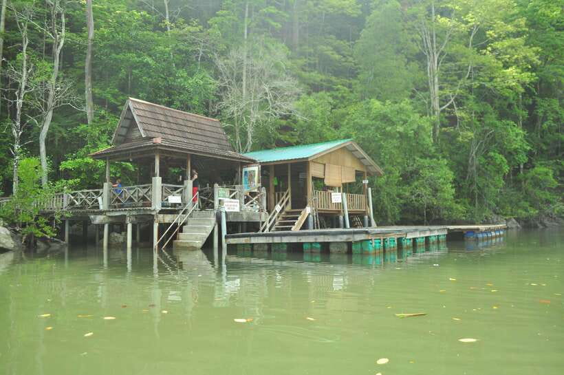 Langkawi: Kilim Mangrove Boat Tour with Lunch and Pickup - What to bring so you don’t waste time