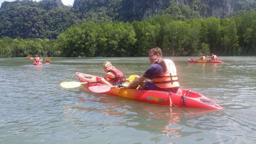 Langkawi: Kilim River Mangrove Safari Kayaking Tour - Bat Cave and Insect-Eating Bats: The Stop That Changes the Mood