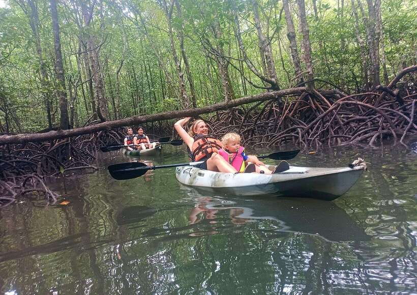 Langkawi: Kilim River Mangrove Safari Kayaking Tour - The Floating Fish Farm Lunch: Local Food With a Good Reason