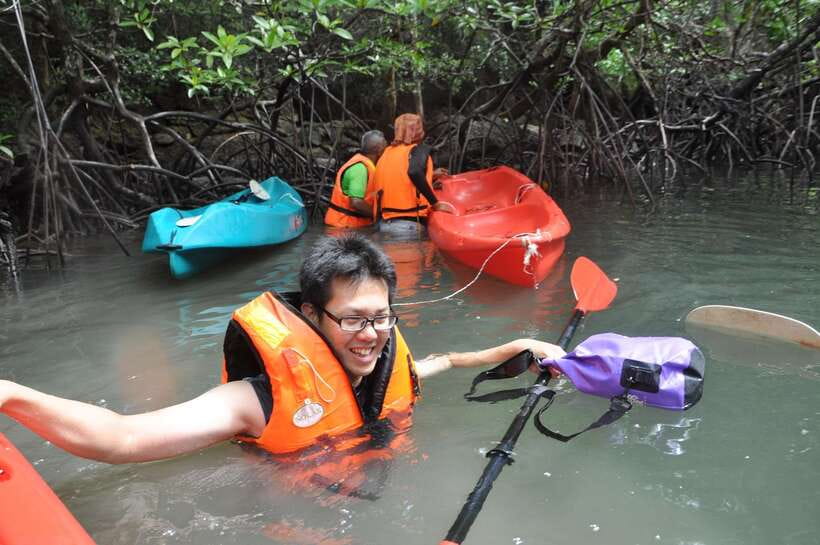 Langkawi: Kilim River Mangrove Safari Kayaking Tour - Kayak Skills, Comfort, and the Stuff to Bring