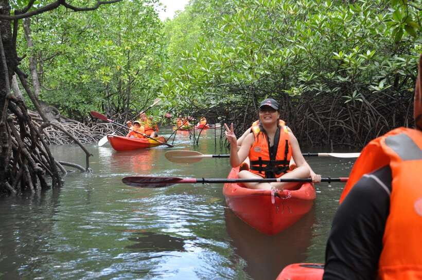 Langkawi: Kilim River Mangrove Safari Kayaking Tour - Who Should Book This Kayak Mangrove Safari in Langkawi?