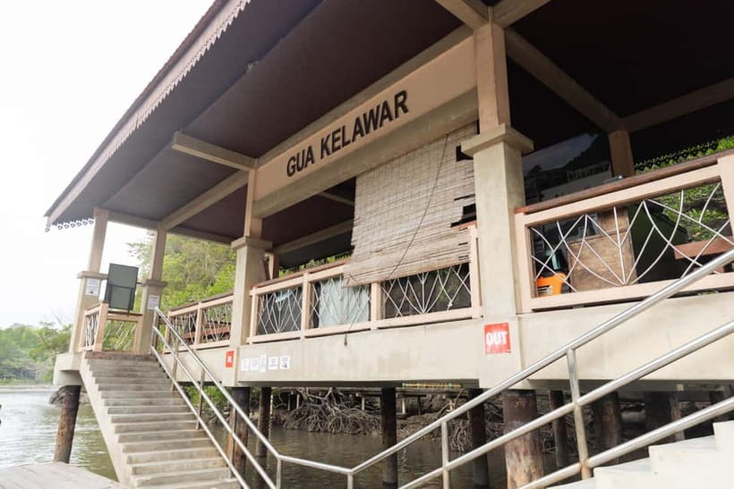 Langkawi Mangrove Group Boat Tour - Wildlife on the river: monkeys, eagles, and how to make sightings happen