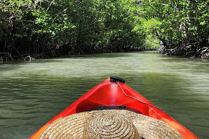 Langkawi Mangrove Kayak Tour by Sham - Kilim River Mangroves by Kayak, and Why It Feels Different