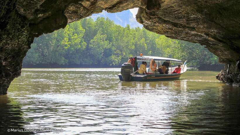 Langkawi: Mangrove Kilim UNESCO Geopark & Cave Tour - Kilim mangroves and the “how is this ecosystem holding together?” feeling