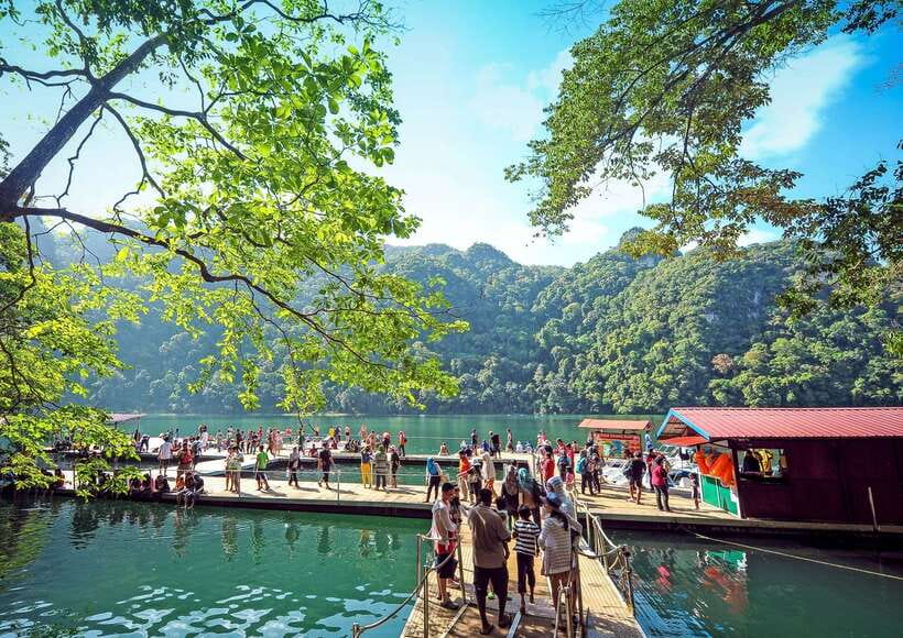Langkawi: Mangrove Kilim UNESCO Geopark & Cave Tour - Eagles up close: the chicken-flying moment you’ll talk about later