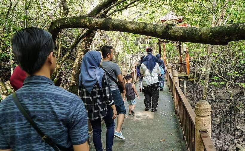 Langkawi: Mangrove Kilim UNESCO Geopark & Cave Tour - Leaving the mangroves: limestone sea stacks and geopark sights