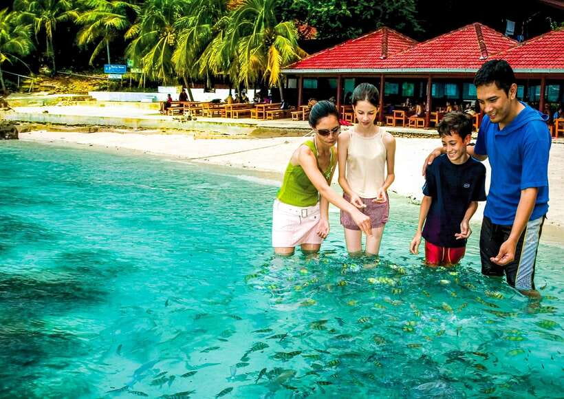 Langkawi: Mangrove Kilim UNESCO Geopark & Cave Tour - Floating fish farm and ray feeding in a limestone-walled cove