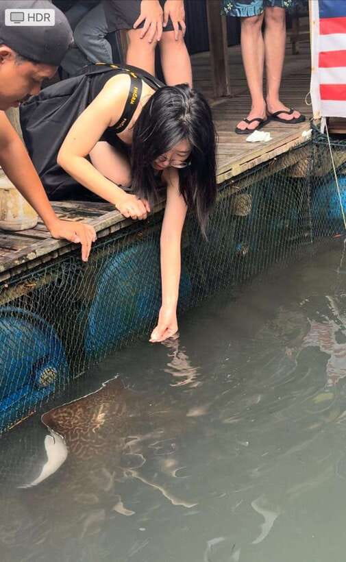 Langkawi Mangrove Monkey Package - Eagle Watching With a Feeding Moment (Why It Feels Better Than Just Looking Up)
