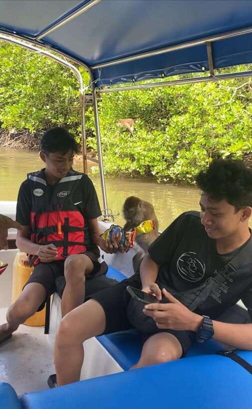 Langkawi Mangrove Monkey Package - Kilim Geoforest Park: The Value Is the Mix of Geology and Wildlife