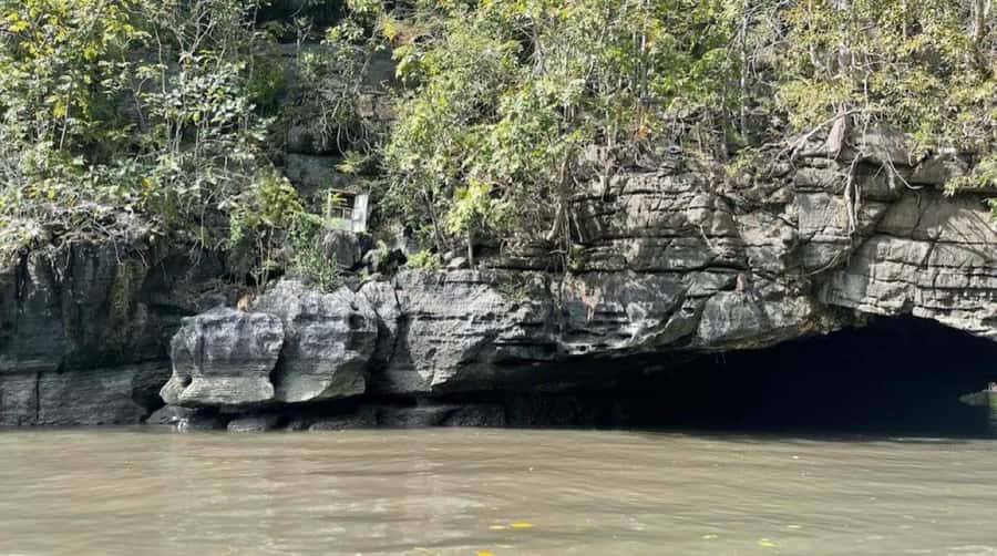 Langkawi Mangrove : Sharing Boat 3Hour estimated (lunch) - Kilim Geoforest Park mangroves, what you should look for