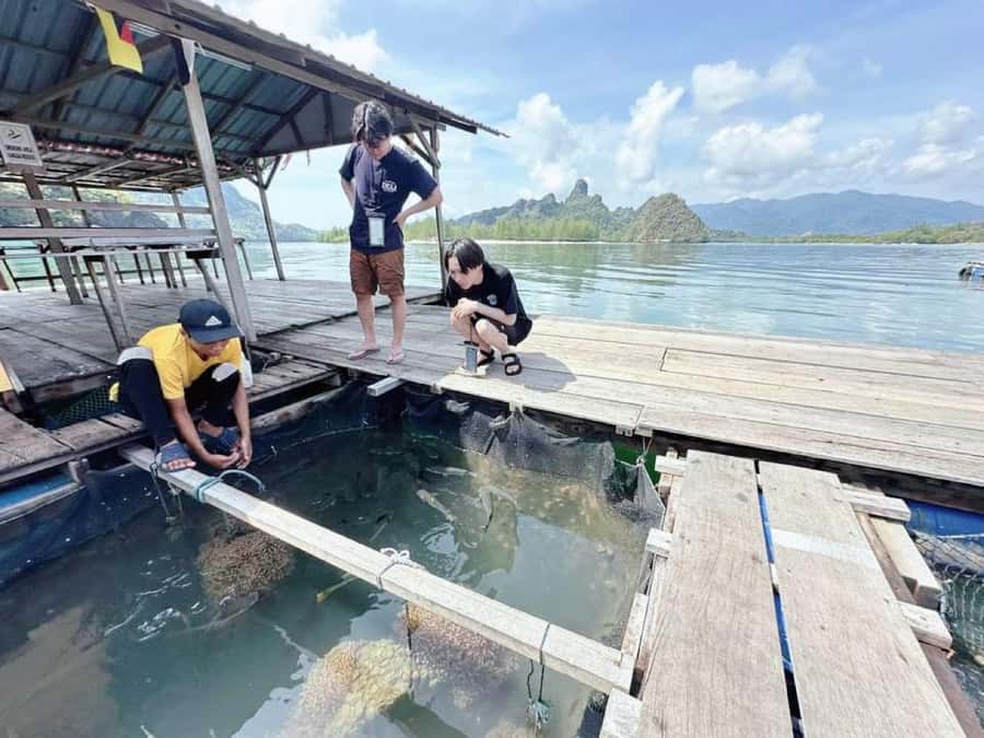 Langkawi Mangrove : Sharing Boat 3Hour estimated (lunch) - Caves and the Bat Cave entry cash you need