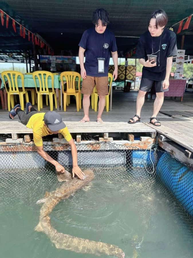 Langkawi Mangrove : Sharing Boat 3Hour estimated (lunch) - Lunch at the floating restaurant, optional but worth considering
