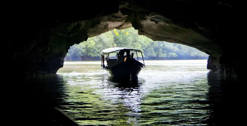 Langkawi: Mangrove Tour with Kilim Geoforest Park & Bat Cave - Monkey Fun: the part people underestimate