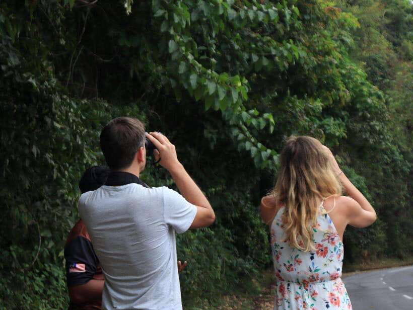 Langkawi: Nighttime Rainforest Tour with Nature Guide - Why Gunung Raya at Dusk Makes This Tour Worth Your Time