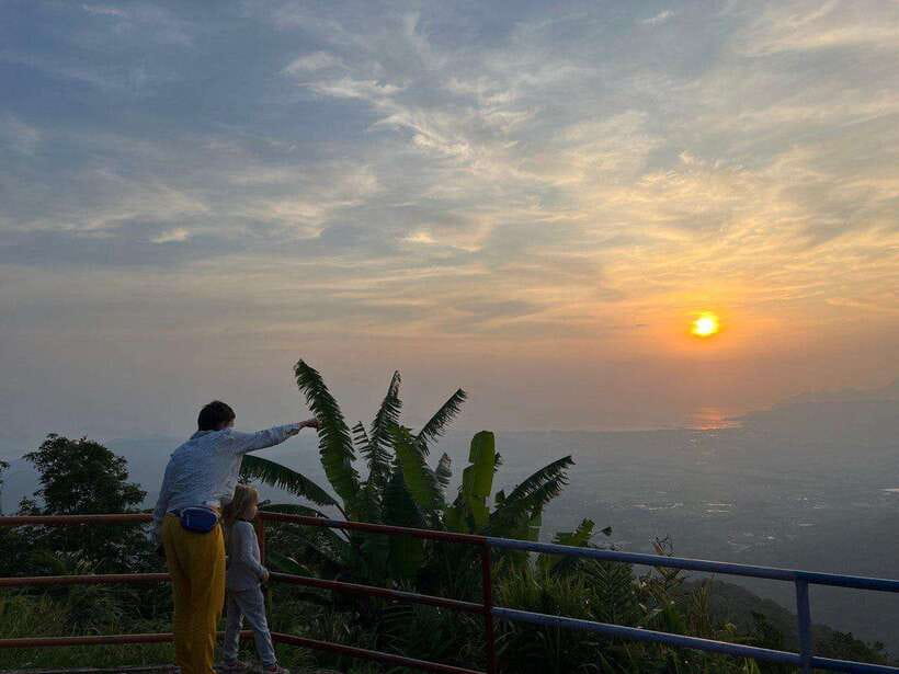 Langkawi: Nighttime Rainforest Tour with Nature Guide - Wildlife on the Road to the Summit: Monkeys, Squirrels, and the Canopy Feel